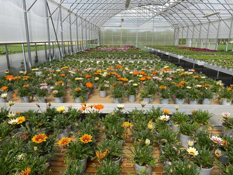 Bedrijfsongeval aansprakelijkheid